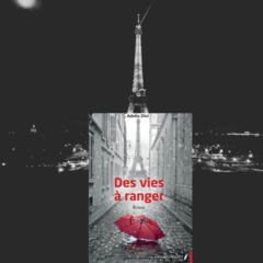 Des vies à ranger💰 de Adelio Divi