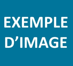 Le titre de mon actualité
